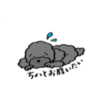 保護犬応援！トイプードルと遊ぼう（個別スタンプ：11）