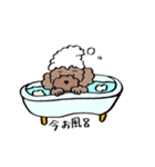 保護犬応援！トイプードルと遊ぼう（個別スタンプ：12）