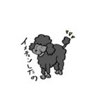 保護犬応援！トイプードルと遊ぼう（個別スタンプ：14）
