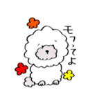保護犬応援！トイプードルと遊ぼう（個別スタンプ：16）