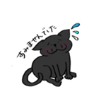 保護活動応援！三毛猫と黒猫（個別スタンプ：5）