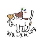保護活動応援！三毛猫と黒猫（個別スタンプ：8）