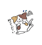 保護活動応援！三毛猫と黒猫（個別スタンプ：14）