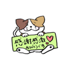 保護活動応援！三毛猫と黒猫（個別スタンプ：15）