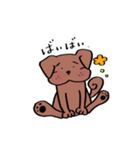 保護犬ごるちゃんの日常（個別スタンプ：1）