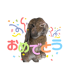 愛うさらぎ らぶちゃんスタンプvol.2（個別スタンプ：15）