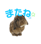 愛うさらぎ らぶちゃんスタンプvol.2（個別スタンプ：16）