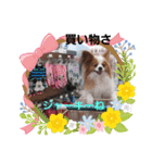 ぱぴぱぴパピヨン（個別スタンプ：5）