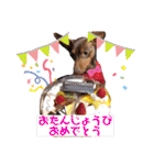 大好き❤はなちゃん2（個別スタンプ：3）