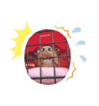 大好き❤はなちゃん2（個別スタンプ：4）