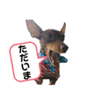 大好き❤はなちゃん2（個別スタンプ：11）