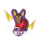 大好き❤はなちゃん2（個別スタンプ：13）