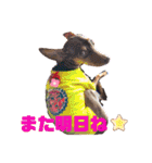大好き❤はなちゃん2（個別スタンプ：21）