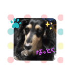 チョコあられ日和2（個別スタンプ：5）