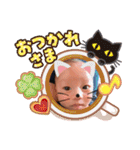 ROI︎︎︎︎︎☺︎STAMP★（個別スタンプ：11）