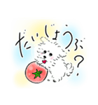 心がほんわか！ハッピーほわほわんこ！（個別スタンプ：1）
