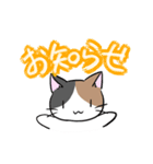 三毛猫みーちゃんと仲間たちスタンプ①（個別スタンプ：1）