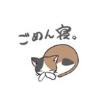 三毛猫みーちゃんと仲間たちスタンプ①（個別スタンプ：6）