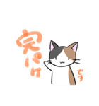 三毛猫みーちゃんと仲間たちスタンプ①（個別スタンプ：10）