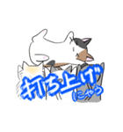 三毛猫みーちゃんと仲間たちスタンプ①（個別スタンプ：11）