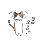 三毛猫みーちゃんと仲間たちスタンプ①（個別スタンプ：16）