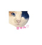 りょうまとおたま（個別スタンプ：8）