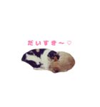 りょうまとおたま（個別スタンプ：19）