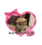 by PYON吉①（個別スタンプ：1）