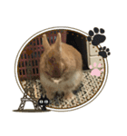 by PYON吉①（個別スタンプ：3）