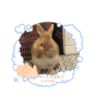 by PYON吉①（個別スタンプ：5）