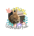 by PYON吉①（個別スタンプ：6）