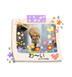 by PYON吉①（個別スタンプ：7）