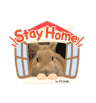 by PYON吉①（個別スタンプ：9）