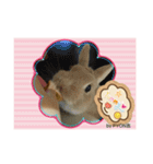 by PYON吉①（個別スタンプ：12）