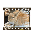by PYON吉①（個別スタンプ：13）