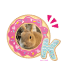 by PYON吉①（個別スタンプ：15）
