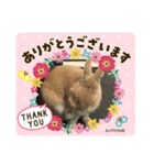 by PYON吉①（個別スタンプ：16）