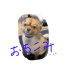 スポーツ練習言葉（個別スタンプ：21）