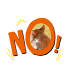 うちのねこ  家猫になりまして。（個別スタンプ：2）