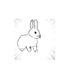 うさぎになりたかったおにぎり（個別スタンプ：19）