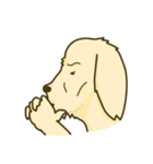 犬会社（個別スタンプ：3）