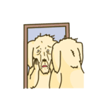 犬会社（個別スタンプ：9）
