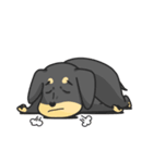 犬会社（個別スタンプ：10）