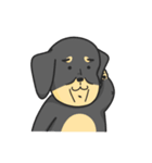犬会社（個別スタンプ：17）