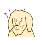 犬会社（個別スタンプ：21）