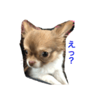 moca-moka（個別スタンプ：3）