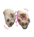 moca-moka（個別スタンプ：19）