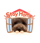 犬のおてんばひまわり2（個別スタンプ：1）