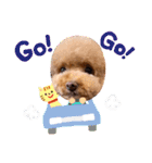 犬のおてんばひまわり2（個別スタンプ：5）