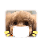犬のおてんばひまわり2（個別スタンプ：7）